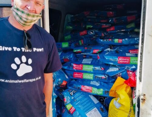 Feeding The Community Fur-babies